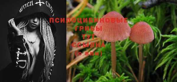 гидропоника Абаза