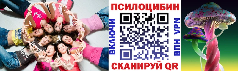 дарнет шоп  Ялуторовск  Псилоцибиновые грибы Cubensis 