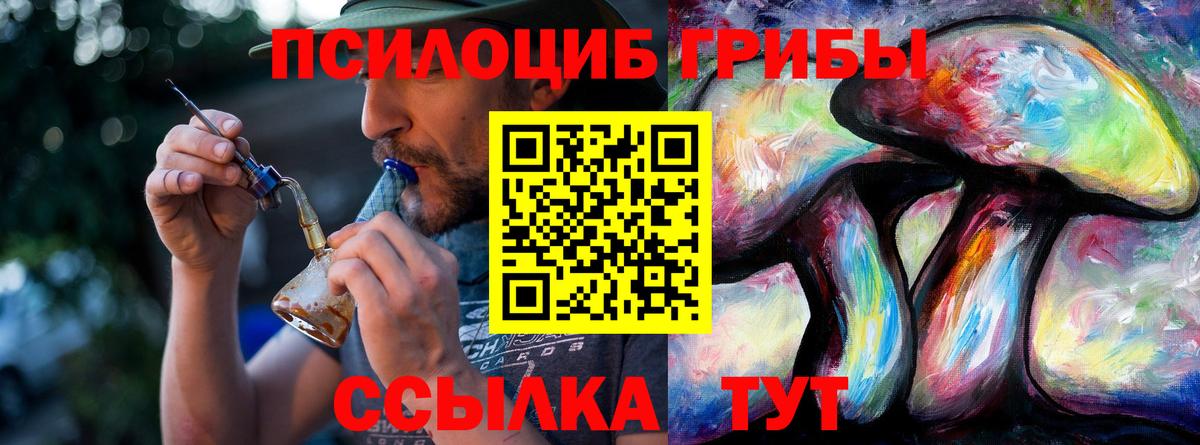 Псилоцибиновые грибы Psilocybe  Вход с VPN  Ялуторовск 